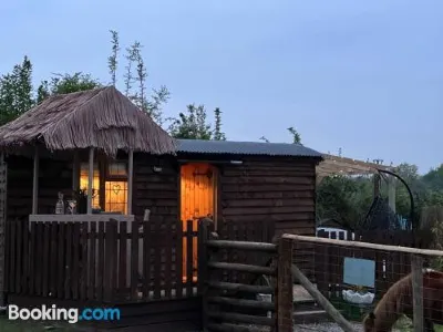 Cute and Cosy Shepard Hut with Wood Fuel Hot Tub