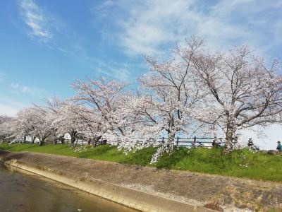 ホテル周辺 奈良パークホテルの写真