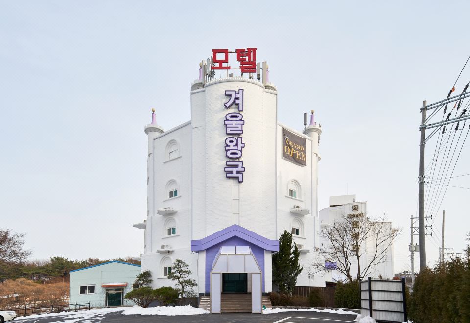 대부도 겨울왕국의 외관 야경