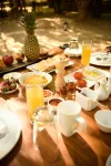 Bandhavgarh Meadows - Frühstück