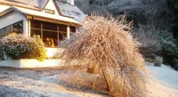 Corriegour Lodge Hotel 로이브리지 호텔