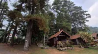 Econique Foresta Tretes