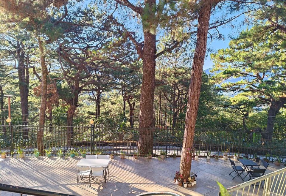 4. 비스타 데 피노..