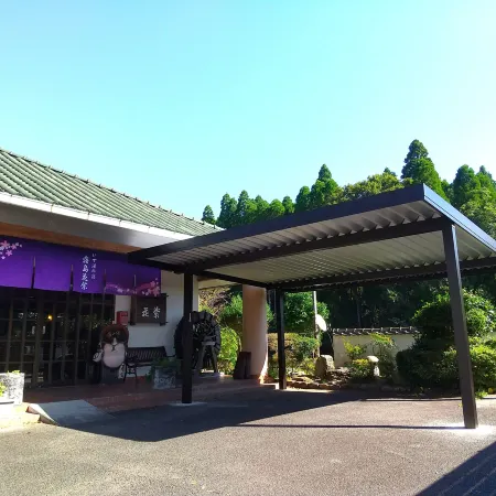 Kirishima Hanamurasaki