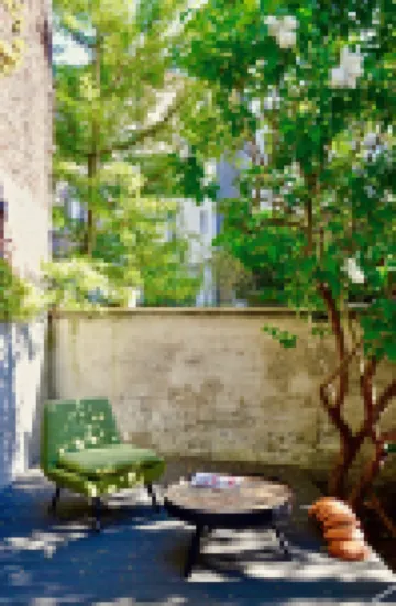 Rock Lobster City Lodge Hotels in 