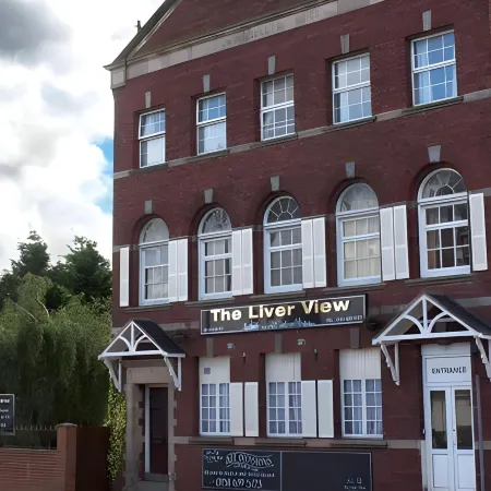 The Liver View