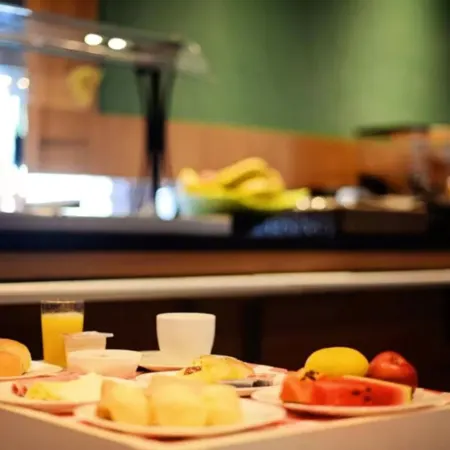 Ibis Rio Branco