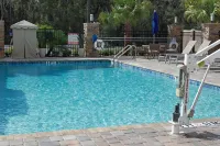 Hilton Garden Inn Tampa - Wesley Chapel - Pool