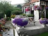 The Kings Arms فنادق في وینتربورن ابباس