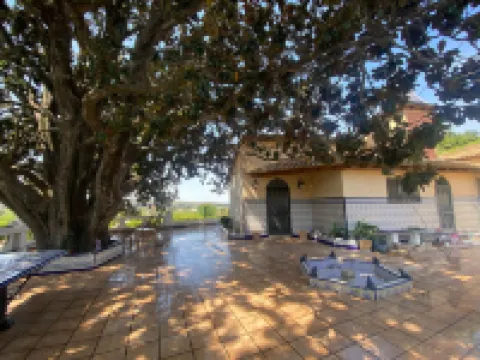 Bamboo Room with Mountain Views and Lots of Natural Light Hotels in Ribera Alta