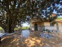 Room with Views of the Casella Valley - Tranquility and Natural Light Hotels near Alzira