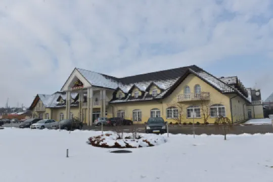 ParkHotel Łysoń & SPA のホテル