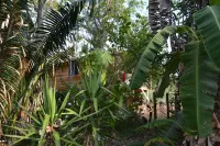 Belizean 2 Bedroom Tree Top Oasis in San Ignacio Perfect Base for Adventures