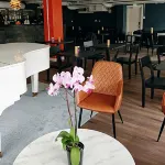 Hotel Golden Circle Suites Hotels in Rovaniemi