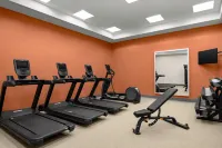 Embassy Suites by Hilton Newark Airport - Gym