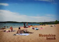 Homey and Lovely Cabin Condo Close to Branson Fun and Area Lakes~Pet Friendly