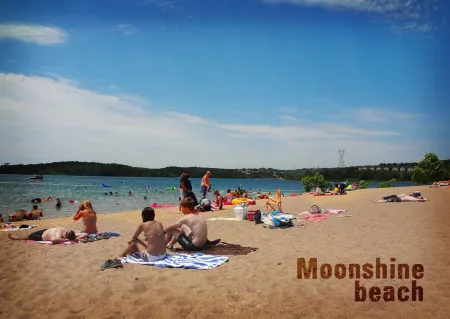 Homey and Lovely Cabin Condo Close to Branson Fun and Area Lakes~Pet Friendly