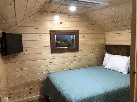 Knotty Squirrel The Nest