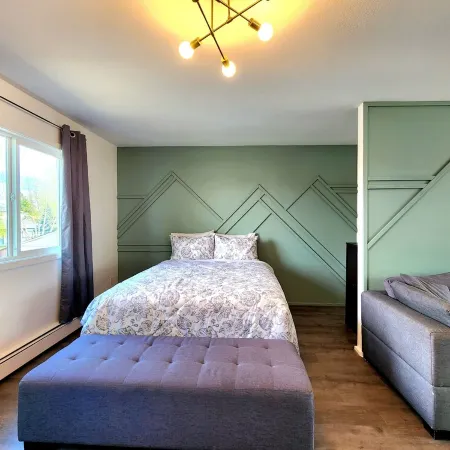 Denali Luxe Studio by airports, lakes, hiking, skiing. Newly remodeled.