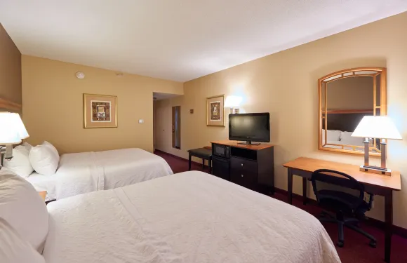 希爾頓歡朋酒店-馬西隆