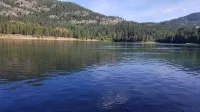 Majestic Mountain Paradise on the Mighty Columbia River