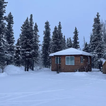 Bear Valley Cabin