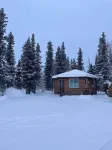 Bear Valley Cabin