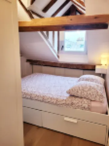 Le cosy Macaron - At the heart of Versailles