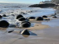 Adorable cottage w/ ocean views, redwoods, and a hot tub. Pets OK!