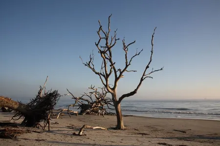 #Butterfly to the Beach Just 16 Min. to Nearest Beach #Sleeps up to 8 Guests!