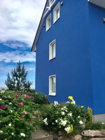 Driftwood vacation apartment