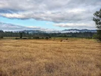 Relax and recharge in a place that feels remote but it just minutes from town.