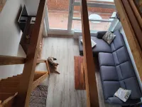 Apartment Seebrücke Schönberger Strand, bright and friendly, dog is welcome