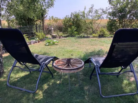 Ferienhaus Janeviz 1312