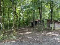 Homestead Cabin in the Ozarks, w/ a view! - 2-Star