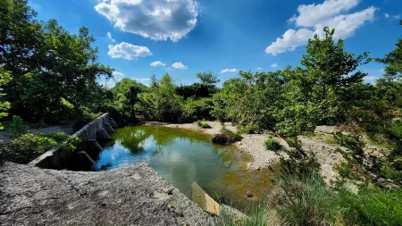 TREETOP CABIN @Hidden Valley Campgrd; connect with nature and hill country views
