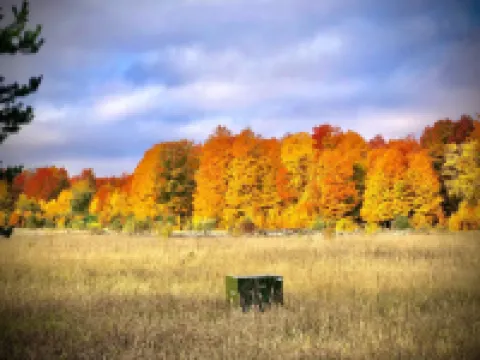 Well Appointed 2 Bedroom ~Less than a mile to Crystal Mountain