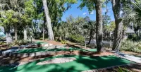 Renovated Edisto Beach Pets OK Mini Golf Pools Golf Cart Pickleball w/Amenities