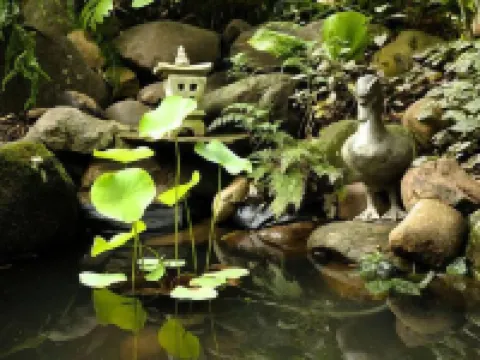 Perched on the bank of Broughton Mill Creek & only 500 meters from Berry centre โรงแรมในBerry