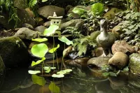 Perched on the bank of Broughton Mill Creek & only 500 meters from Berry centre