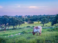Beautiful Texas Hill country, amazing views, and farm living