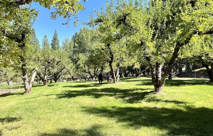 RELAX❤️ MOUNTAIN RETREAT, FULLY XMAS DECORATED, 45 min to South LAKE TAHOE