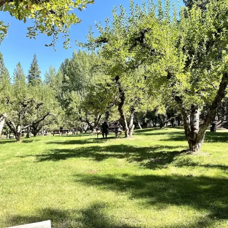 RELAX❤️ MOUNTAIN RETREAT, FULLY XMAS DECORATED, 45 min to South LAKE TAHOE