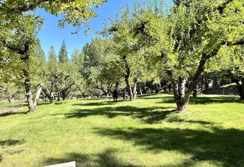 RELAX❤️ MOUNTAIN RETREAT, FULLY XMAS DECORATED, 45 min to South LAKE TAHOE - Wifi