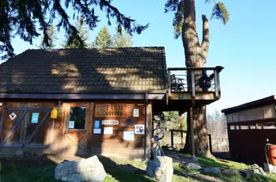 The Nest at Left Foot Farm.