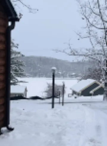 Red Oak Cabin: Our cozy cabin is tucked away but still close to any adventure!