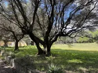 Mas provençal XVIII - 8 people