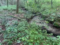 Chanterelle Tiny House