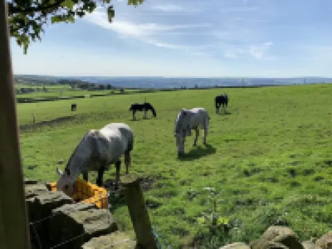 One bed Detached Converted Barn With Panoramic Views of the Wharf & Aire Valley