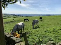 One bed Detached Converted Barn With Panoramic Views of the Wharf & Aire Valley